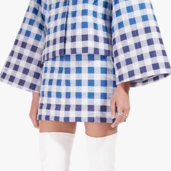 STAUD Dresses & Skirts - ✨SALE✨ EUC STAUD Pinot Mini Skirt - Blue Ombre Gingham